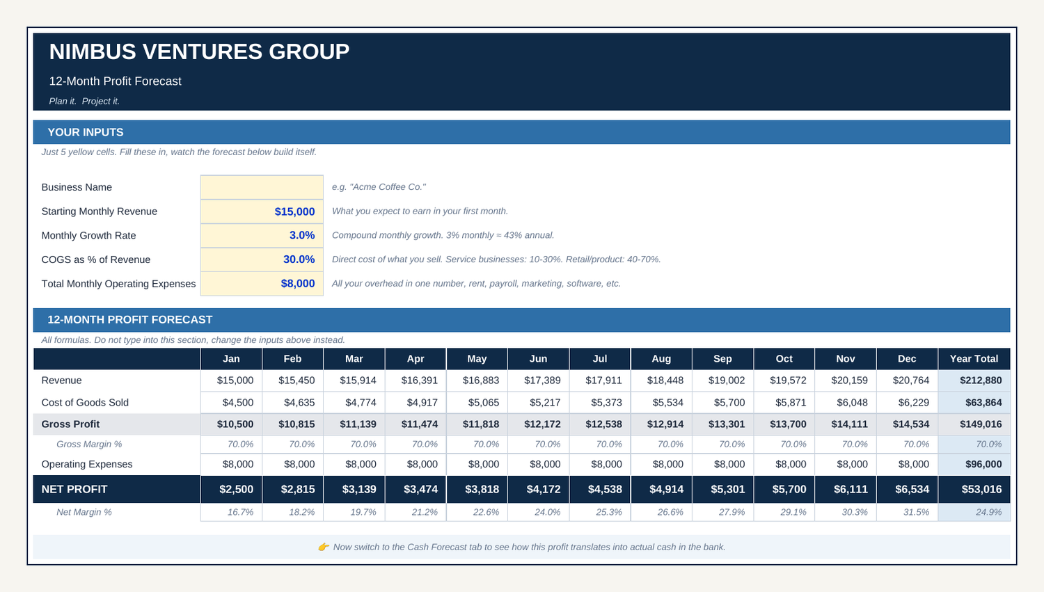 12-Month Cash Forecast screen